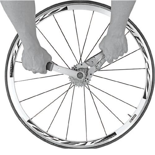 bike freewheel removal